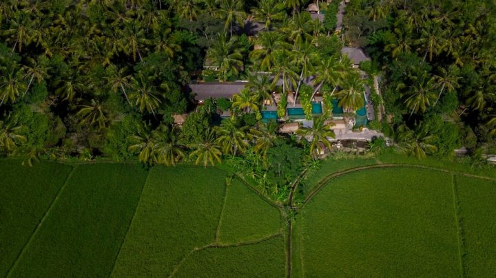 乌布帕蒂别墅酒店(Ubud Padi Villas)