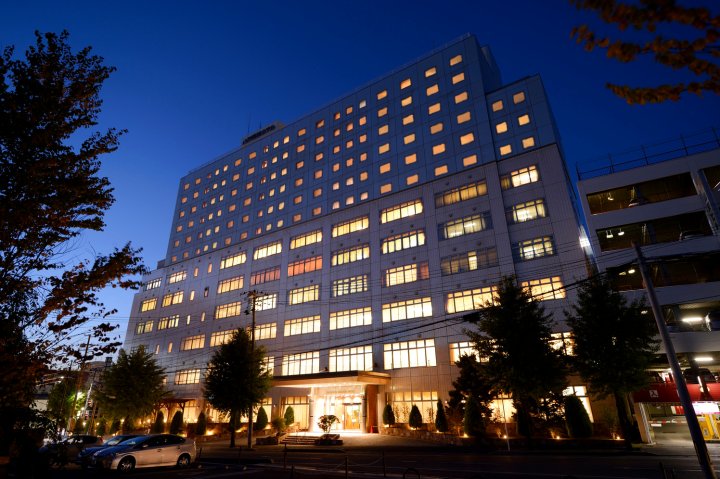山形国际酒店(Yamagata Kokusai Hotel)