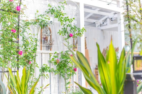 夕拾花舍(阳朔天空之境店)