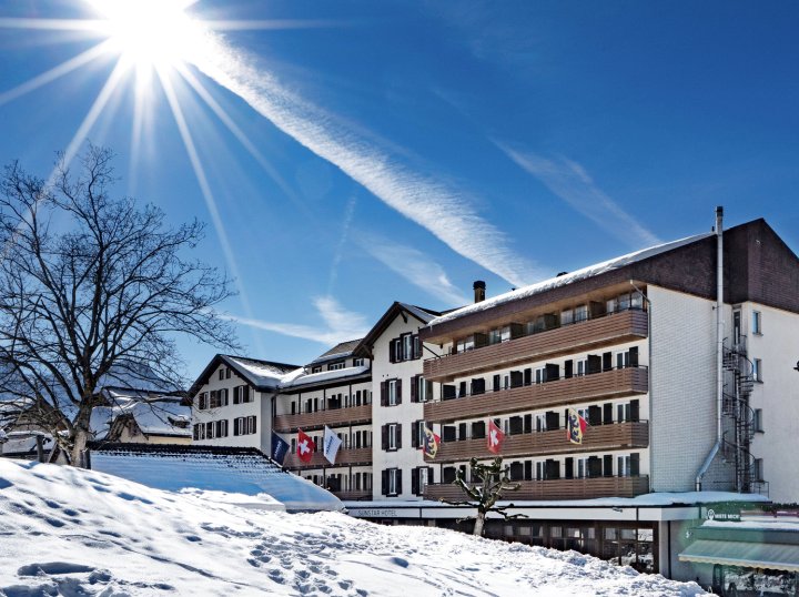 阿尔卑斯翁根酒店(Alpine Hotel Wengen -Former Sunstar Wengen-)