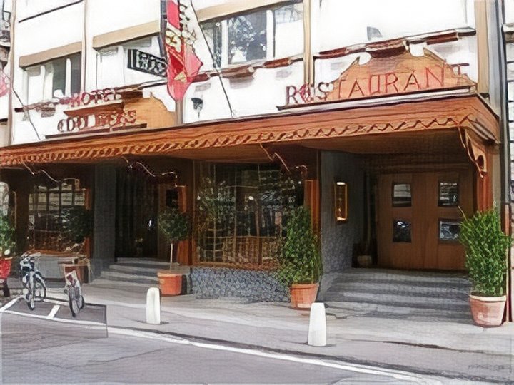 日内瓦雪绒花马诺特酒店(Hotel Edelweiss Manotel Geneva)