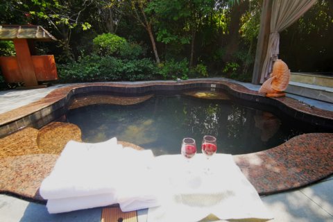 遂平嵖岈山温泉度假酒店