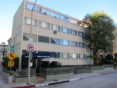 好莱坞果园套房酒店(Hollywood Orchid Suites)