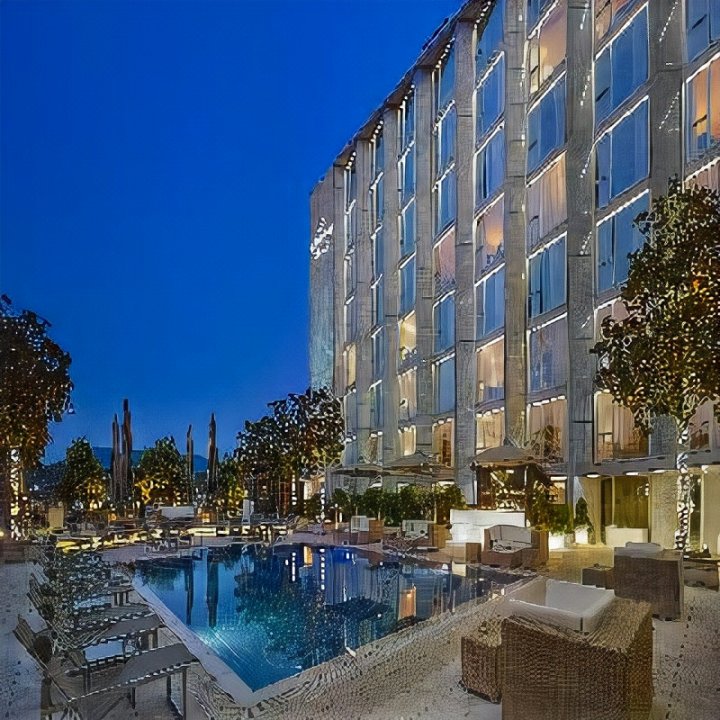 威尔逊总统豪华精选酒店(President Wilson - A Luxury Collection Hotel)
