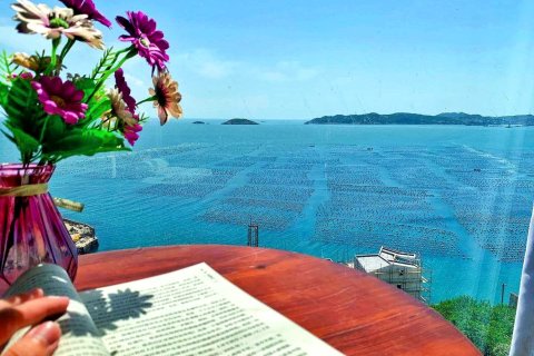 嵊泗枸杞嵊山岛青年旅社(东崖绝壁店)