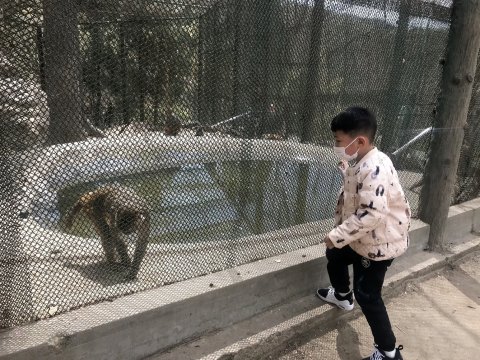 连云港江鸿雁普通公寓