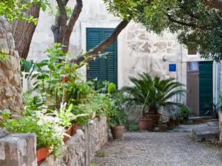 拉古萨地中海花园酒店(Mediteran & Ragusa with Garden)