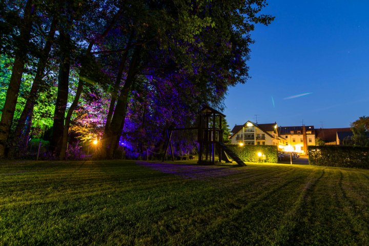 安姆阿尔登厄辛餐厅酒店(Hotel & Restaurant Am Alten Rhin)