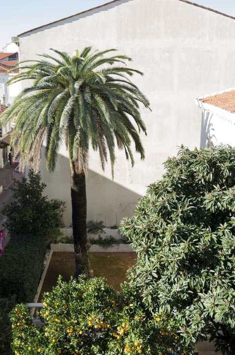 Appartement Cannes rue Marceau公寓(Appartement Cannes Rue Marceau)