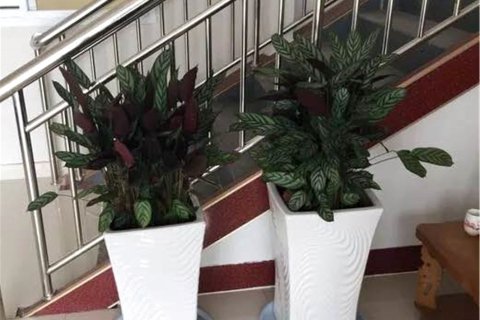 日照新中华宾馆