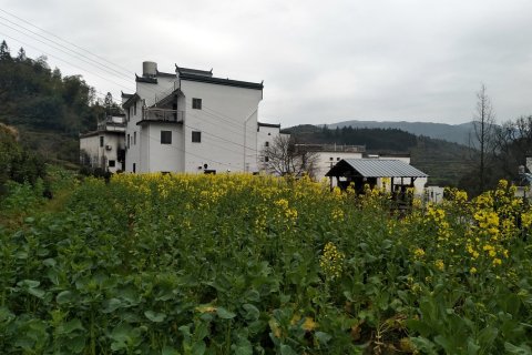 婺源江岭花海人家客栈