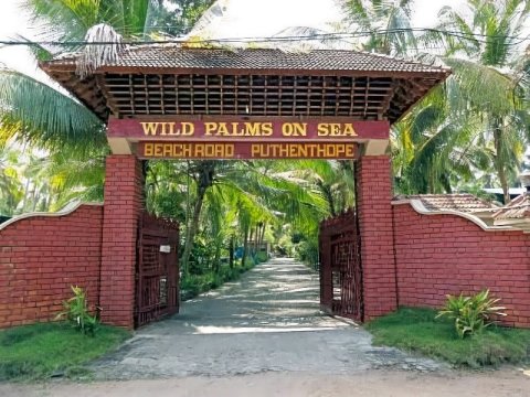 海上野棕榈酒店(Wild Palms on Sea)