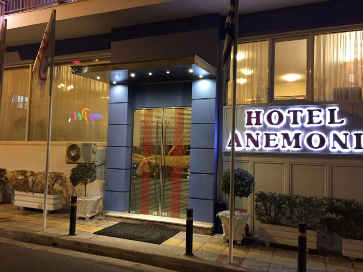 阿内莫尼酒店(Anemoni Piraeus Hotel)