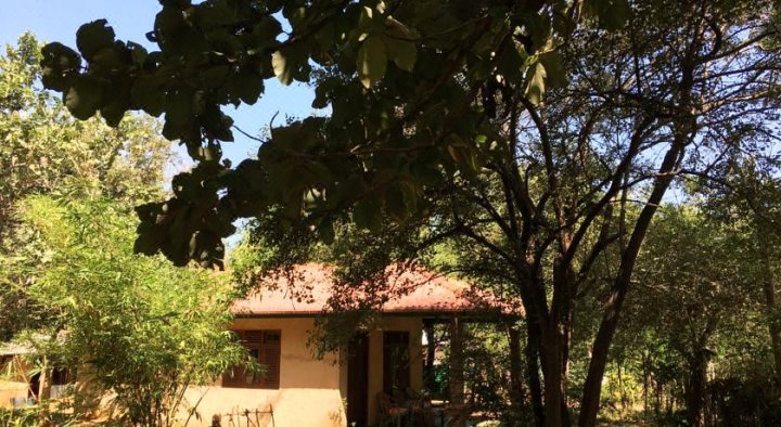 Inn on The Tree Eco Resort Sigiriya