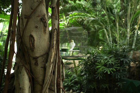 德州凤冠假日酒店