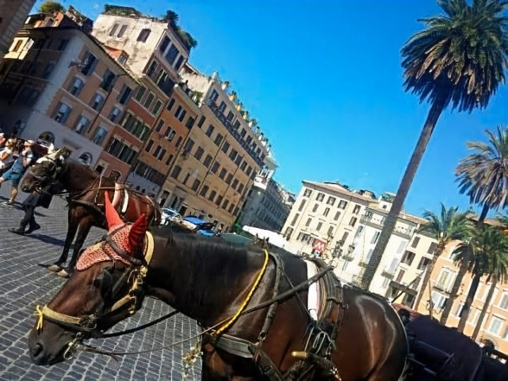 西班牙广场德查姆套房酒店(Piazza di Spagna Suite de Charme)