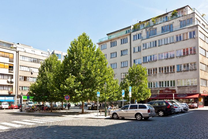 布拉格特鲁拉尔斯卡可爱公寓(Lovely Prague Apartments - Truhlářská)
