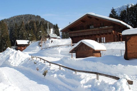 高山屋酒店(Alpin Haus)