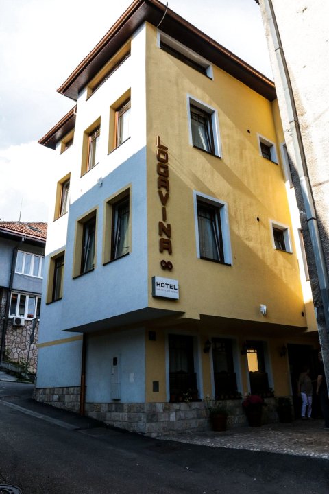 拉加维纳酒店 8 号(Hotel Logavina 8)