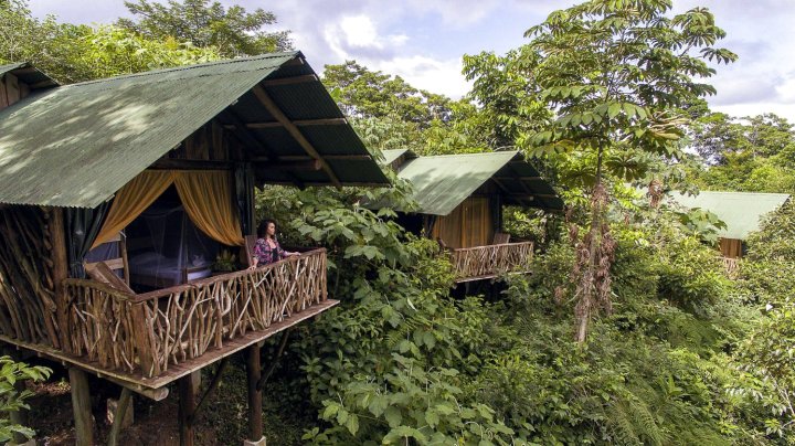 拉帝哥拉雨林旅馆(La Tigra Rainforest Lodge)