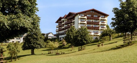 卡斯腾霍兹酒店(Natur- Und Wohlfühlhotel Kastenholz)