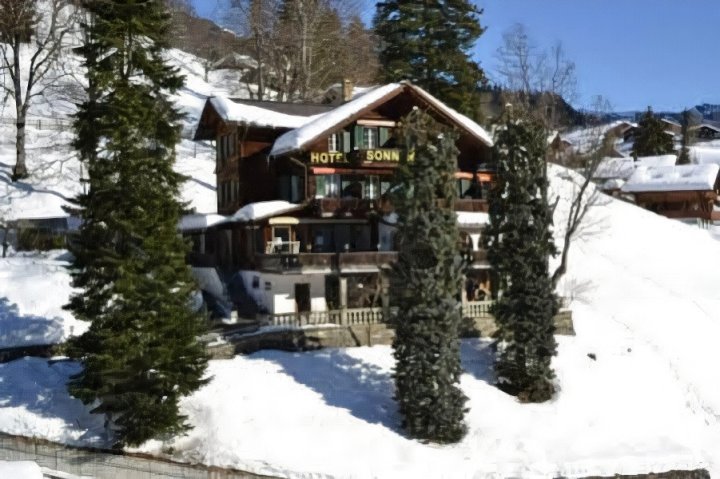 索南伯格酒店(Hotel Sonnenberg)