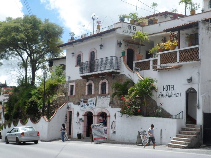 拉斯帕洛马斯酒店(Hotel Las Palomas)