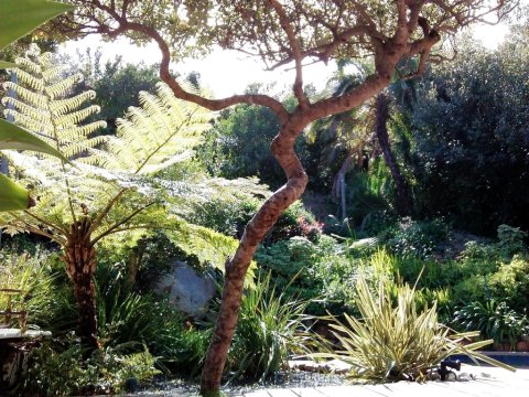 豪特湾隐居旅馆(Hout Bay Hideaway)