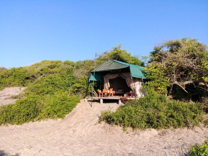 雅拉超越沙丘后方豪华帐篷(Back of Beyond Dune Camp Yala)