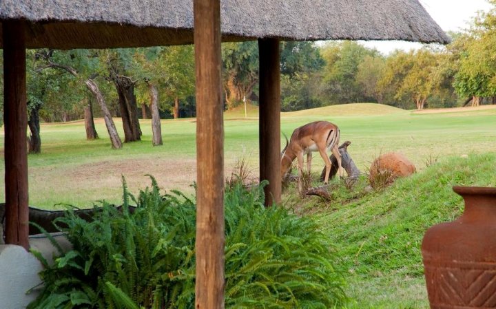 Impisi Lodge Safari and Golf Guesthouse