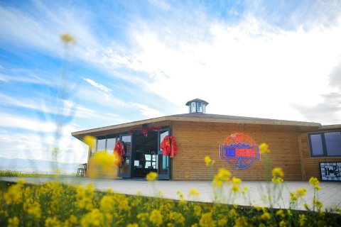 乌兰星宿草原星空客栈(茶卡店)