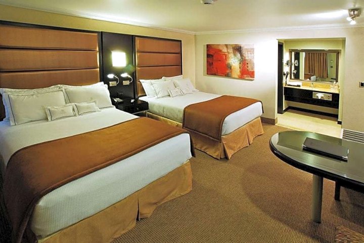 德尔里约真实酒店(Hotel Real del Rio)