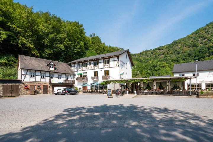 林格斯汀讷木勒兰德酒店(Landhotel Ringelsteiner Mühle)