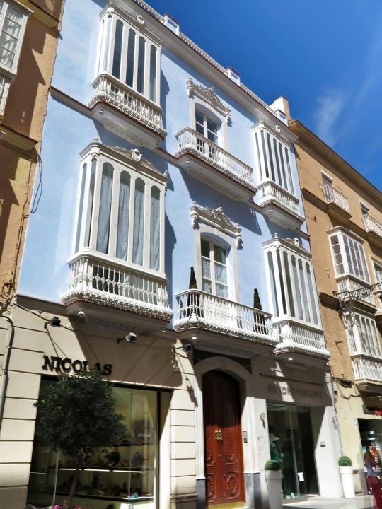 加的斯卡萨帕拉西奥酒店(Casa Palacio Cádiz)