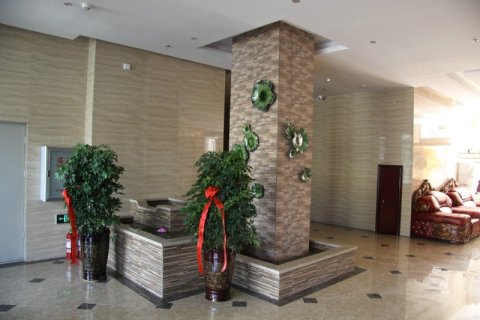 杜尔伯特伊佰度宾馆