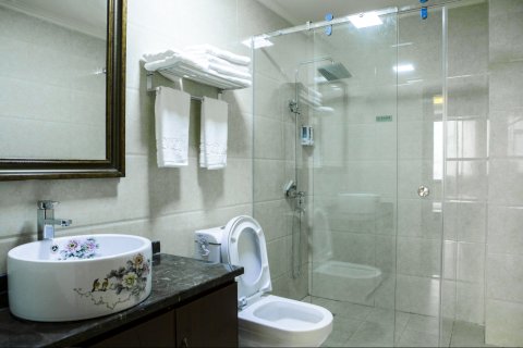 平武假日龙洲酒店