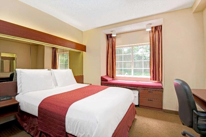 温德姆不伦瑞克省麦克罗特套房酒店(Microtel Inn & Suites by Wyndham Raleigh)