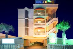 橄榄界市成人酒店(Hotel Fine Olive Sakai)