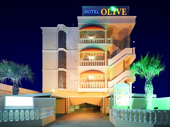 橄榄界市成人酒店(Hotel Fine Olive Sakai)