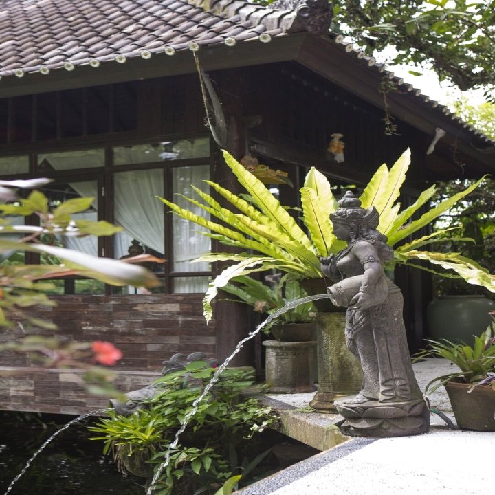 巴厘岛柑橘树别墅(Citrus Tree Villas Jean Francois Bali)