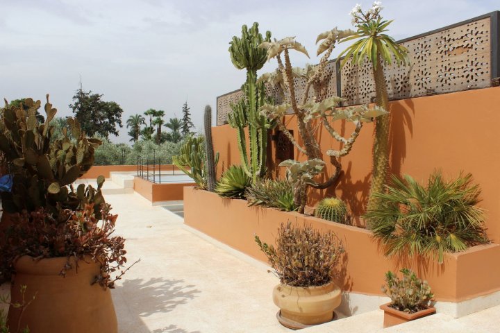 沙漠之源庭院旅馆(Riad la Source du Desert)