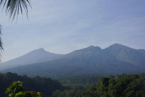 地平线色纳如旅馆(Horizon Senaru Villa)