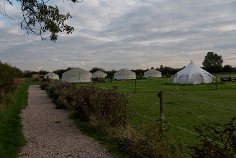 林肯圆顶帐篷酒店(Lincoln Yurts)