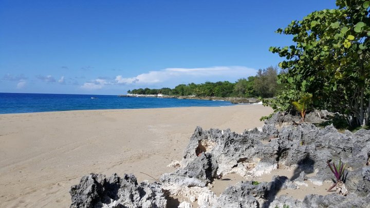 Hispaniola Beach Ocean View Apartment