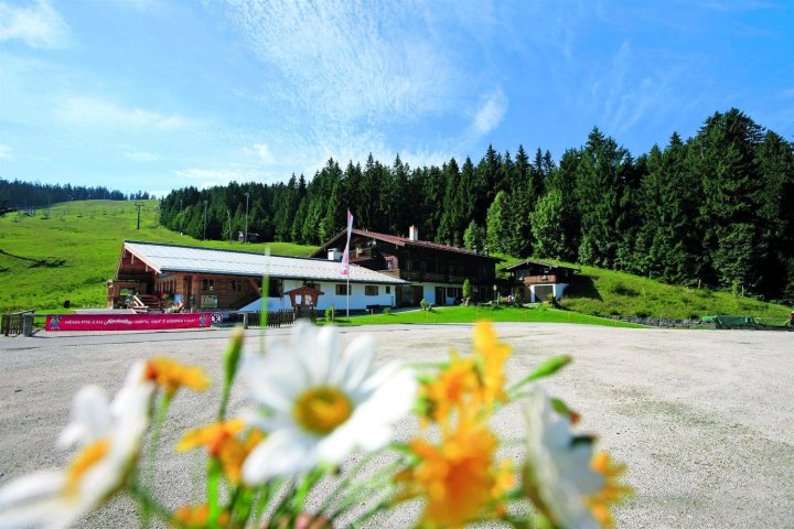 爱鹏福格晨娜姆酒店(Alpengasthof Götschenalm)