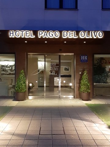 帕格奥利沃酒店(Hotel Pago del Olivo)