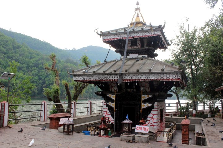 哈姆普斯村庄生态小屋旅馆(Dhampus Village Eco Lodge)