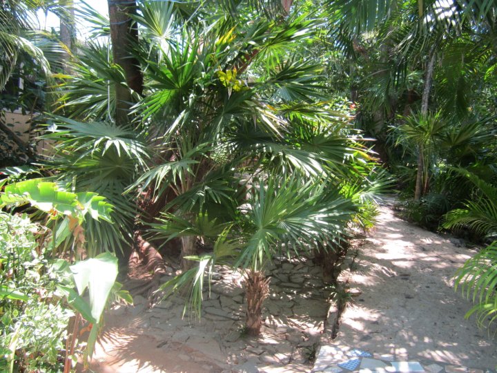 西区椰子树酒店(Coconut Tree West End)