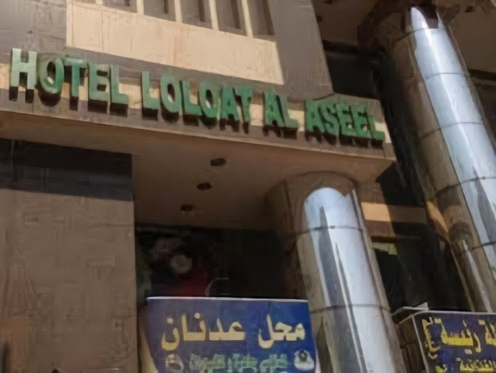 罗亚罗亚亚瑟尔酒店(Loaloa Al Aseel Hotel)