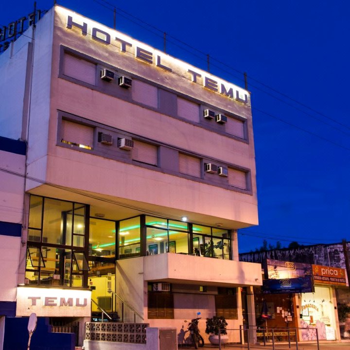 泰穆酒店(Hotel Temu)